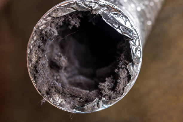 Best Ductwork Cleaning Services  in Manassas, VA